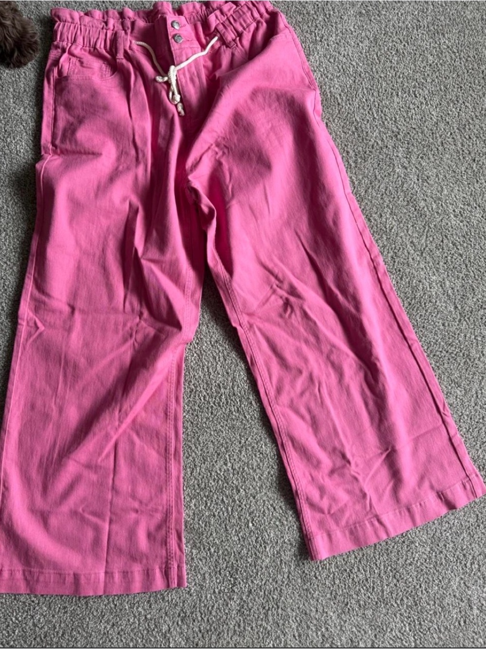 Cropped Wide-Leg Drawstring Pants in Bright Pink